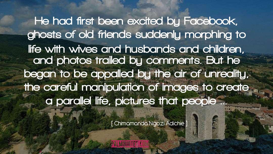 Sister Wives quotes by Chimamanda Ngozi Adichie