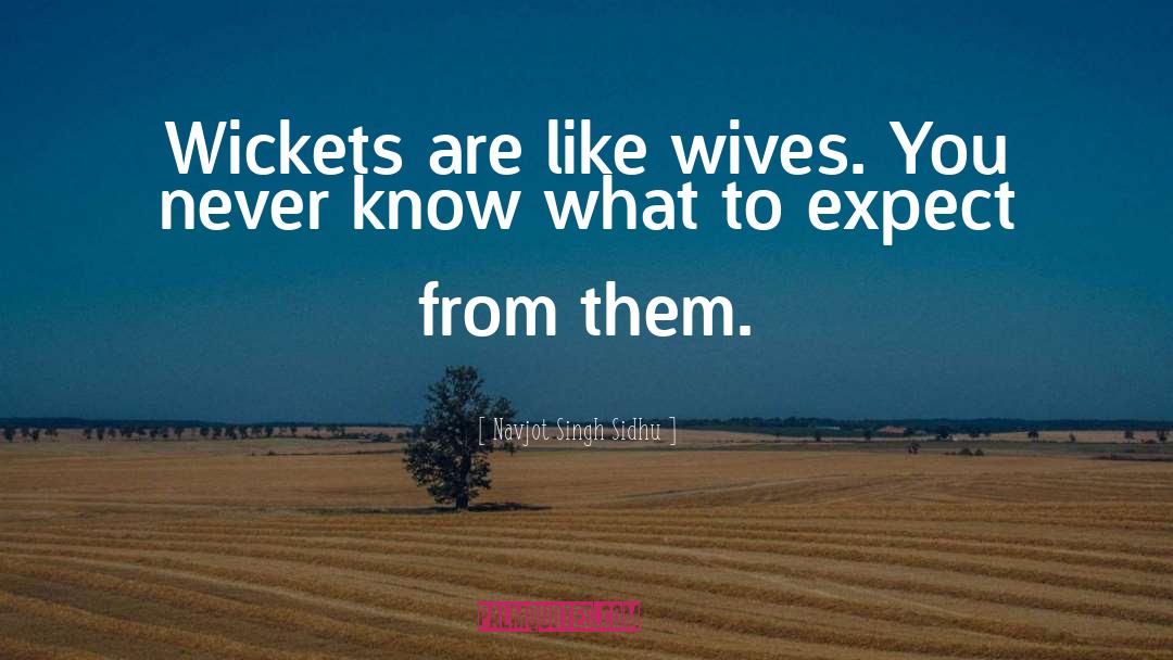 Sister Wives quotes by Navjot Singh Sidhu