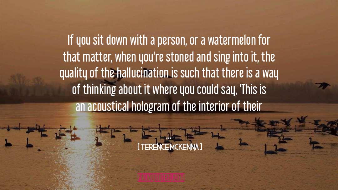 Sit Down quotes by Terence McKenna