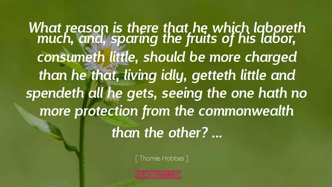 Site Seeing quotes by Thomas Hobbes