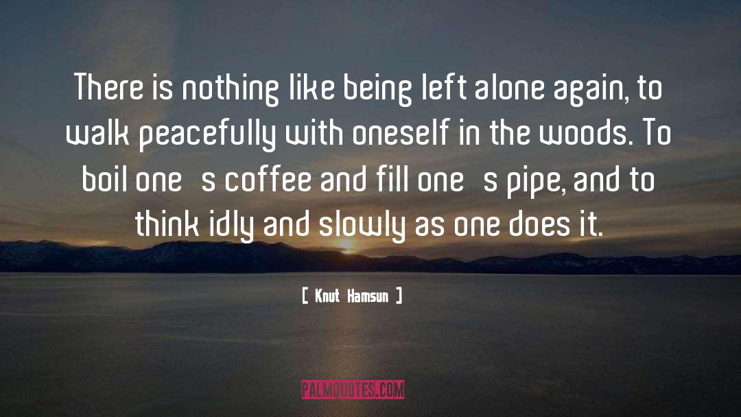 Sitting Alone quotes by Knut Hamsun