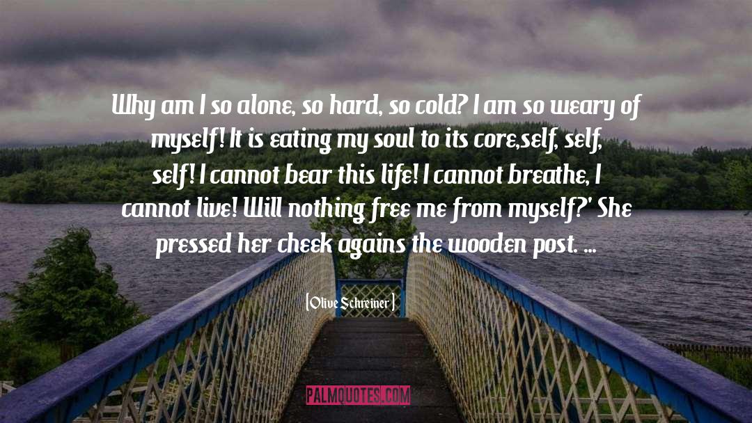 Sitting Alone quotes by Olive Schreiner