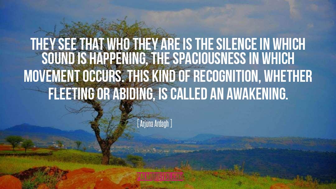 Sitting In Silence quotes by Arjuna Ardagh