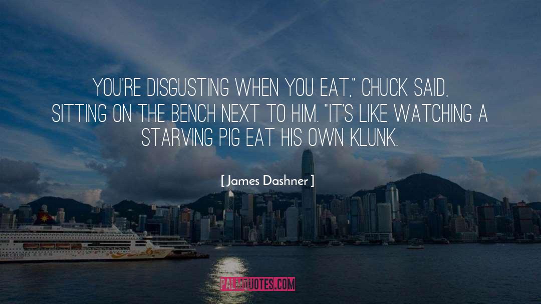 Sitting On The Bench quotes by James Dashner