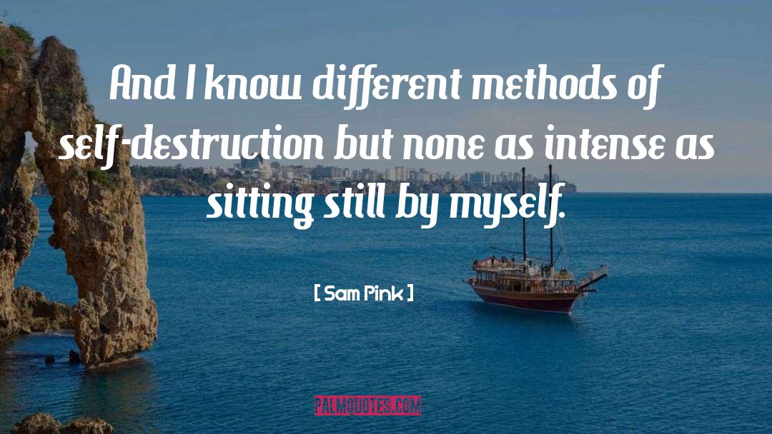 Sitting Still quotes by Sam Pink