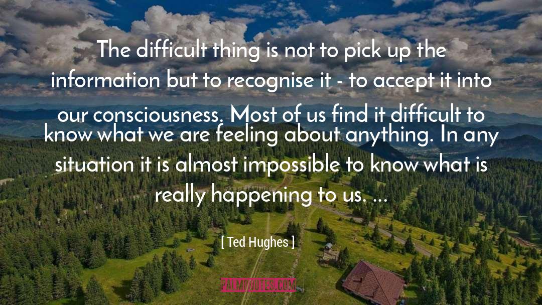 Situation Strength quotes by Ted Hughes