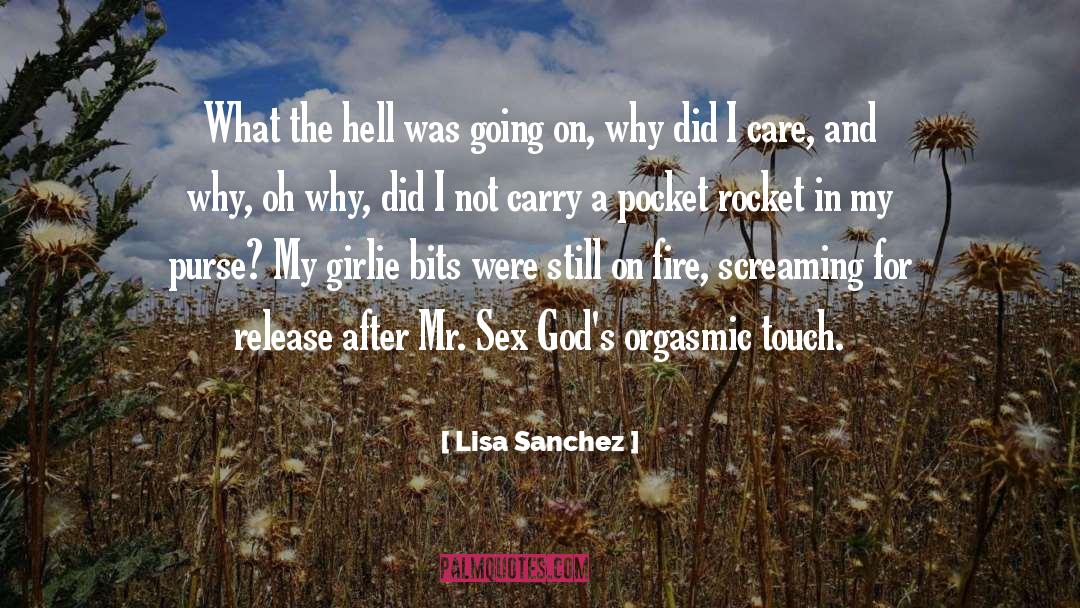 Sizable Purse quotes by Lisa Sanchez