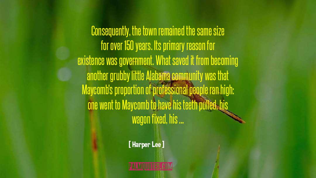 Size Counts quotes by Harper Lee