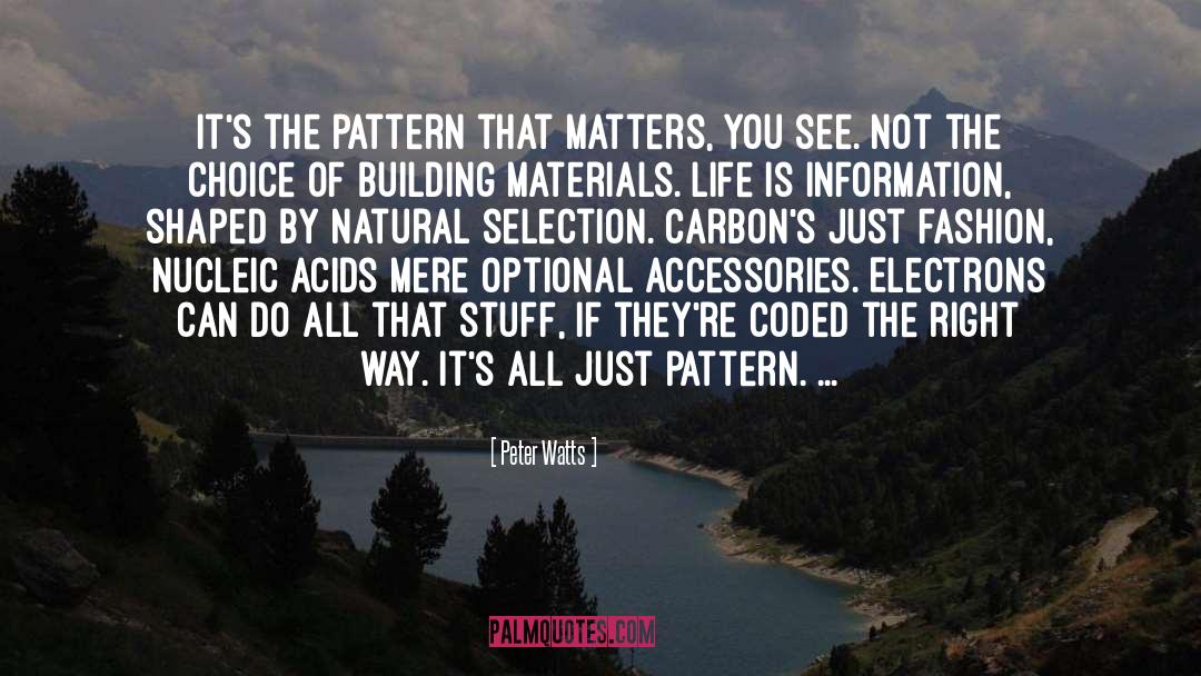 Size Matters quotes by Peter Watts