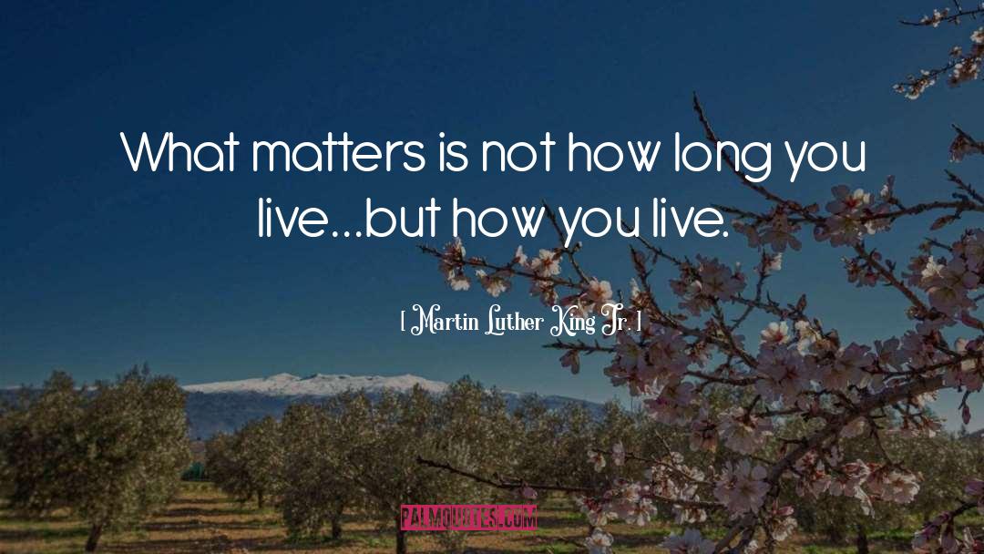 Size Matters quotes by Martin Luther King Jr.