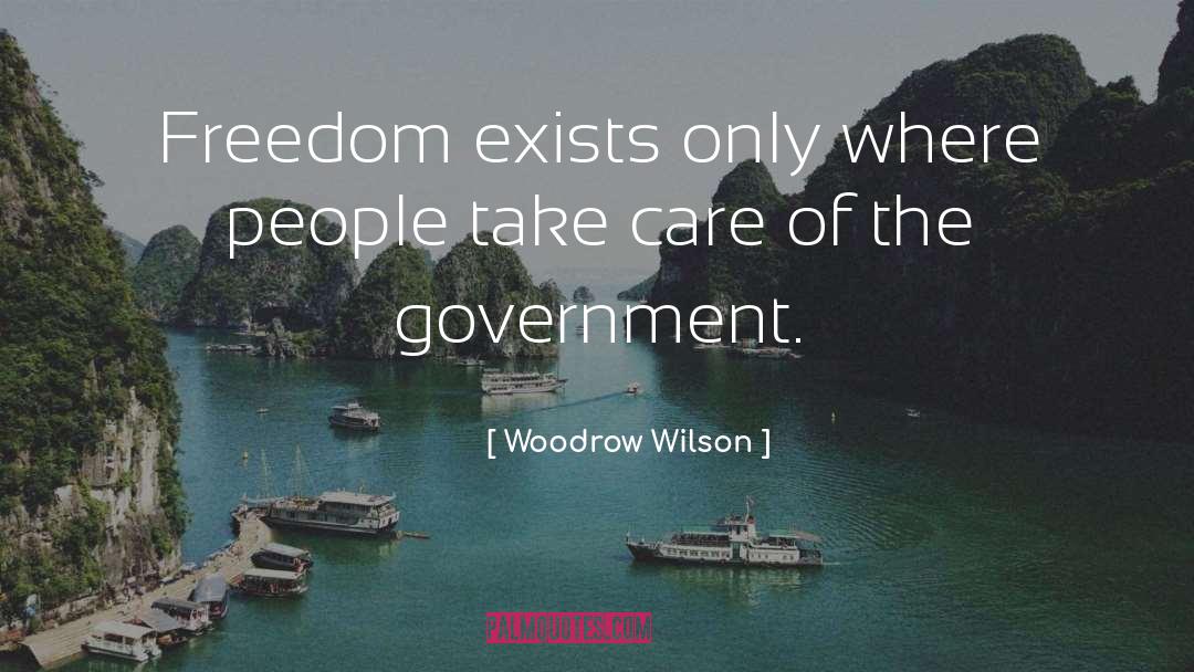 Size Of Government quotes by Woodrow Wilson