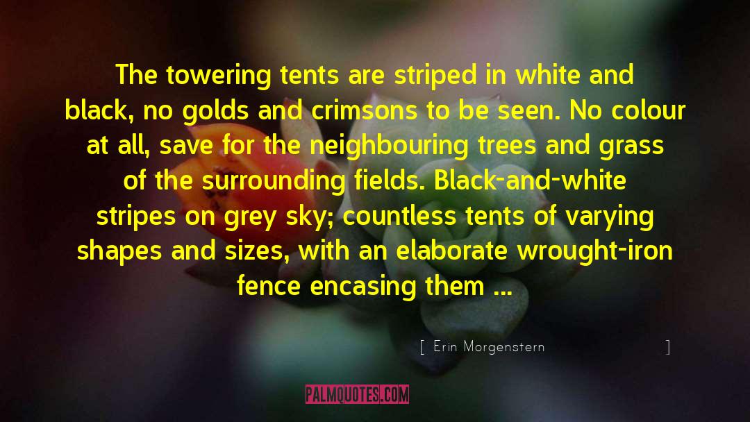 Sizes quotes by Erin Morgenstern