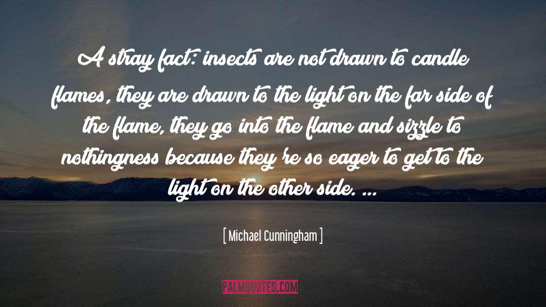 Sizzle quotes by Michael Cunningham