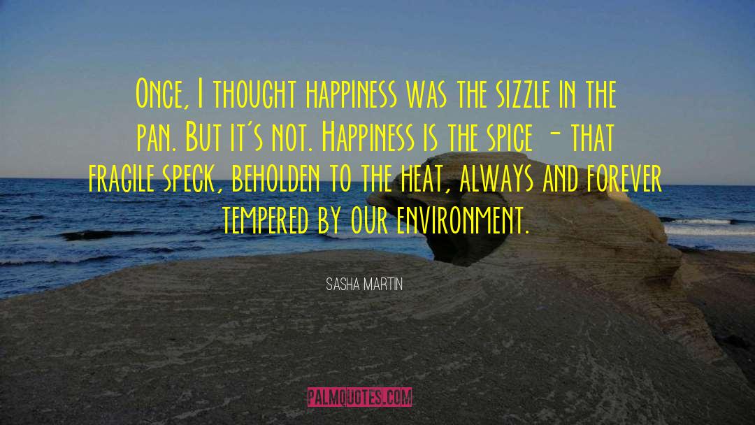 Sizzle quotes by Sasha Martin