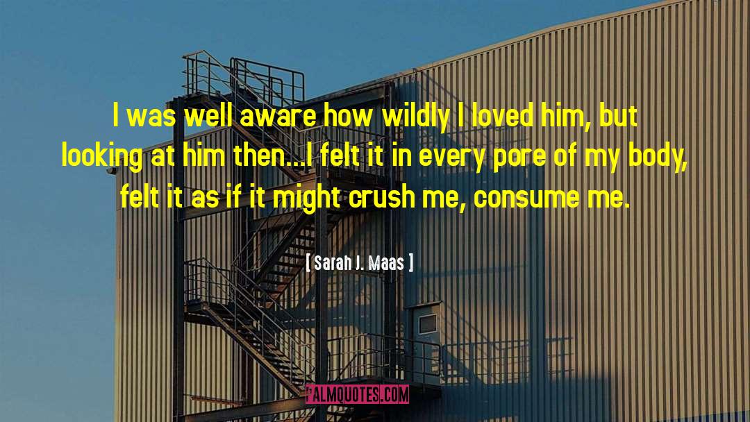 Sj Maas quotes by Sarah J. Maas