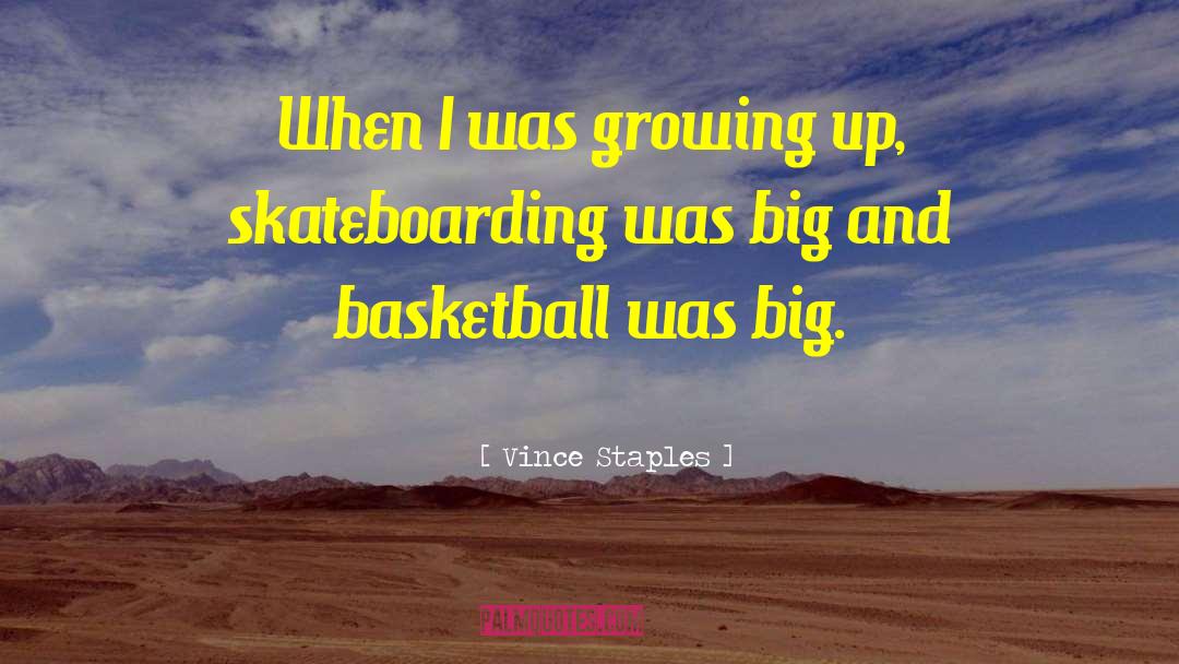 Skateboarding quotes by Vince Staples