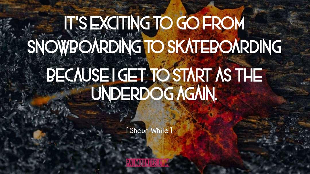 Skateboarding quotes by Shaun White