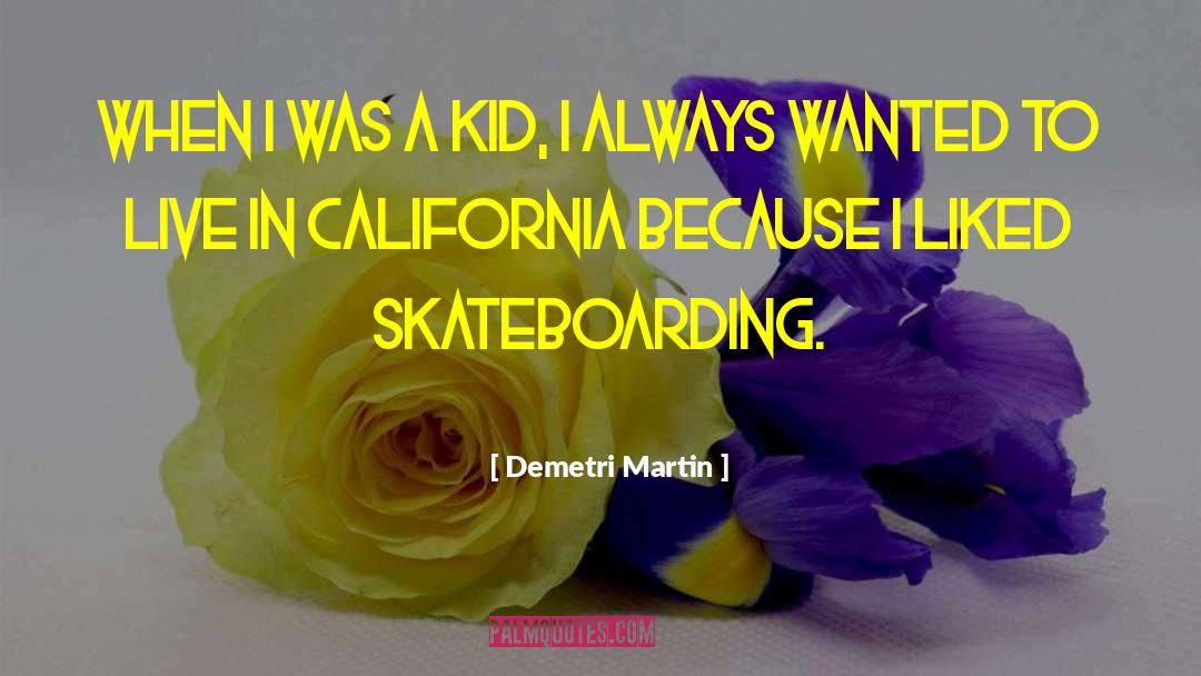 Skateboarding quotes by Demetri Martin