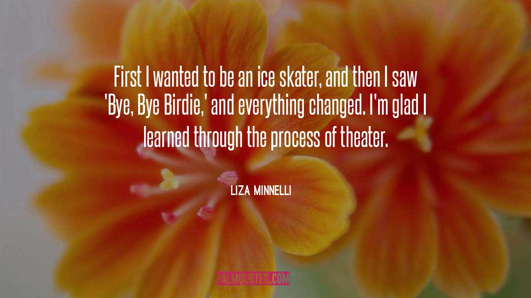 Skater Poser quotes by Liza Minnelli