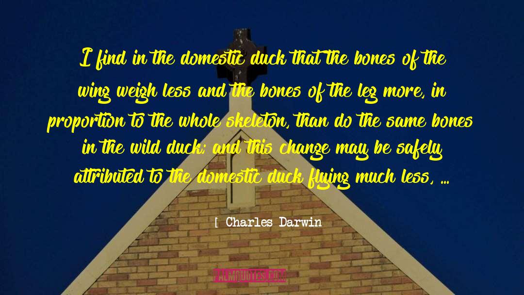 Skeleton Crew quotes by Charles Darwin