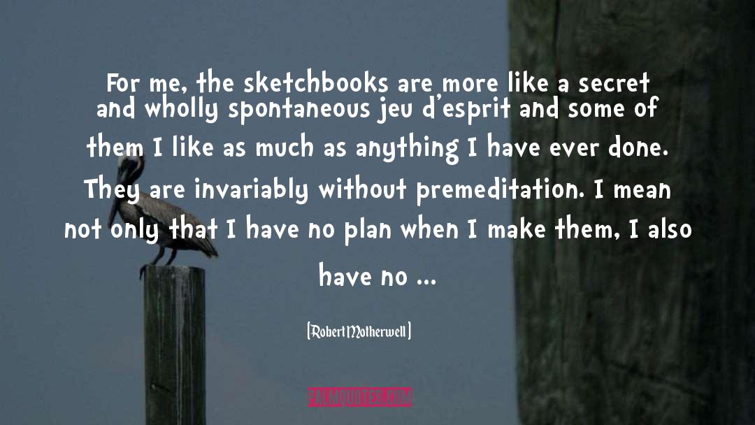 Sketchbooks quotes by Robert Motherwell
