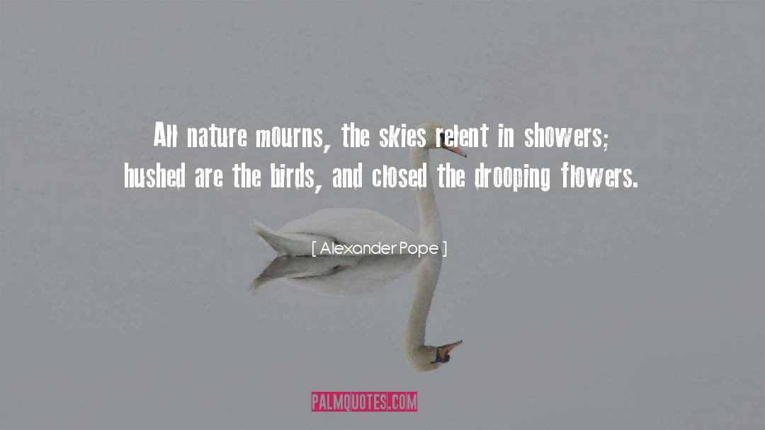 Skies quotes by Alexander Pope