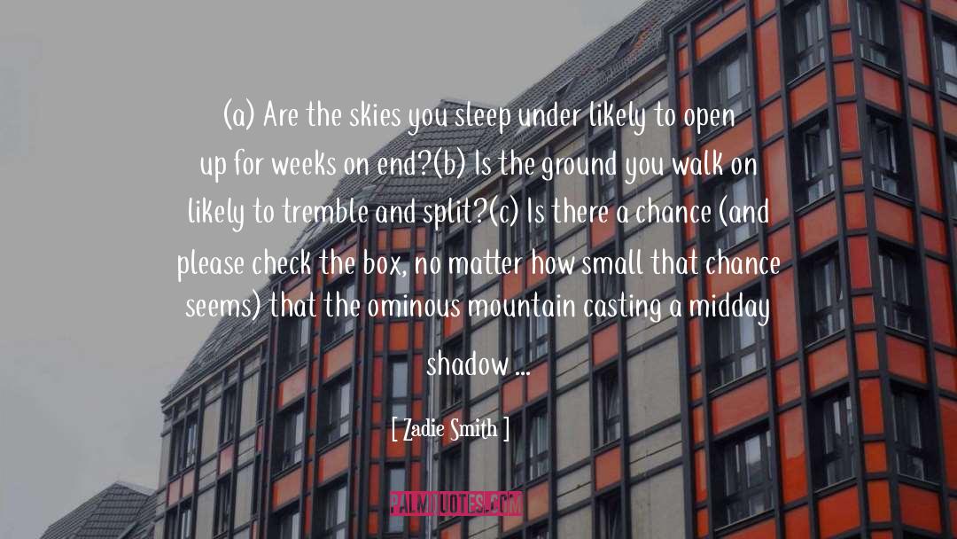 Skies quotes by Zadie Smith