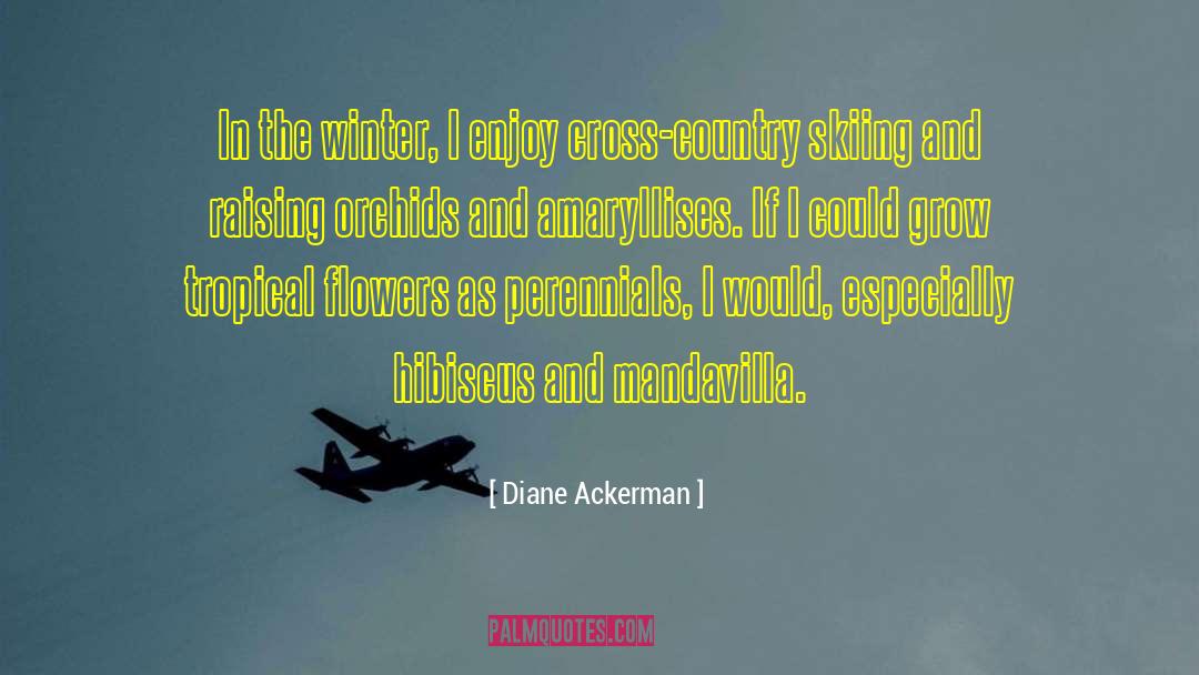 Skiing quotes by Diane Ackerman