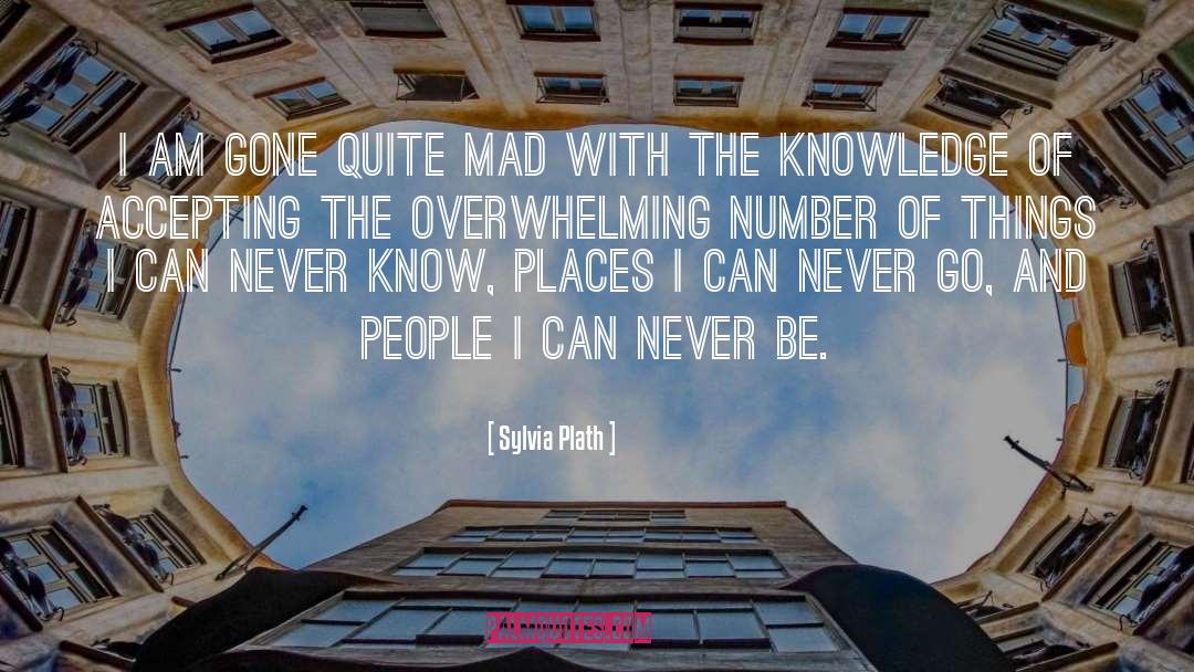 Skills And Knowledge quotes by Sylvia Plath
