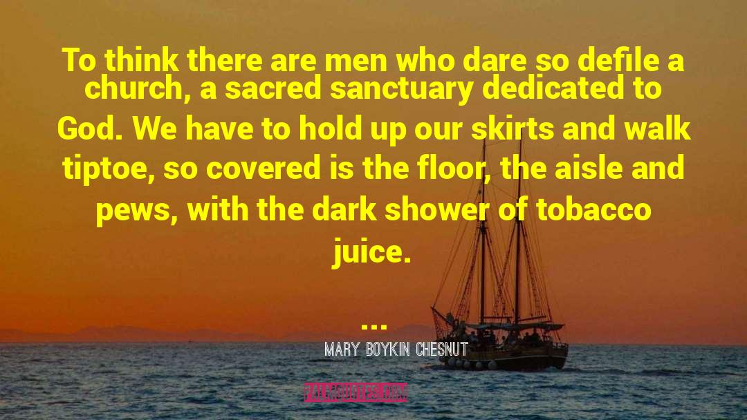 Skirts quotes by Mary Boykin Chesnut