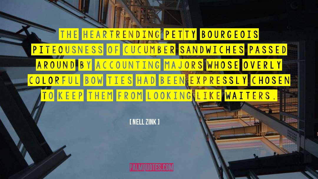 Sklyar Accounting quotes by Nell Zink