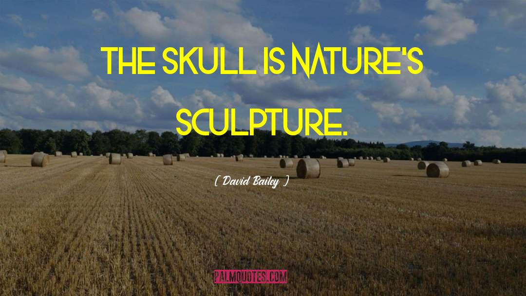 Skull Crossbones quotes by David Bailey