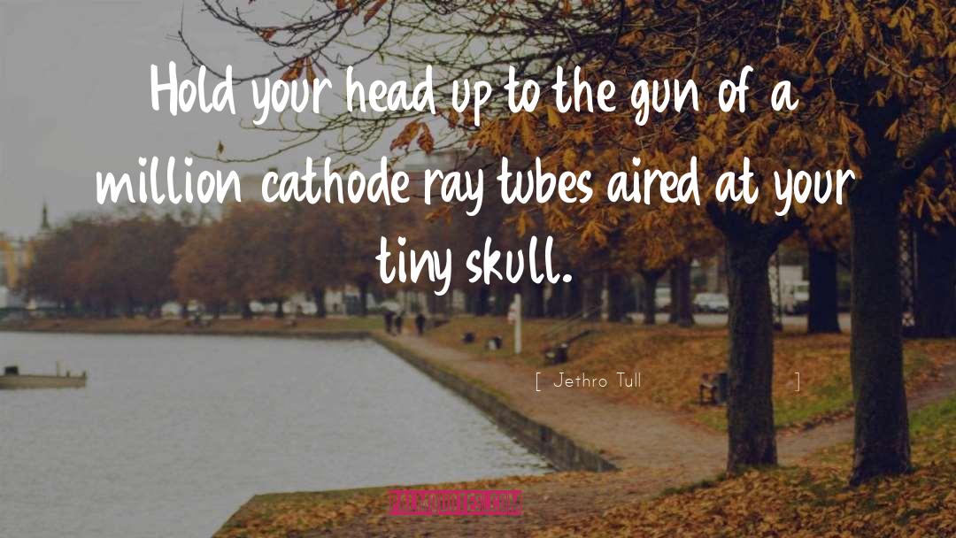 Skulls quotes by Jethro Tull