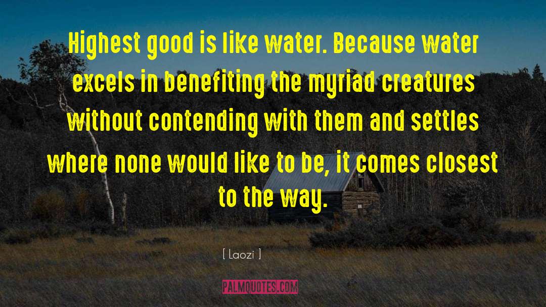 Sky And Water quotes by Laozi