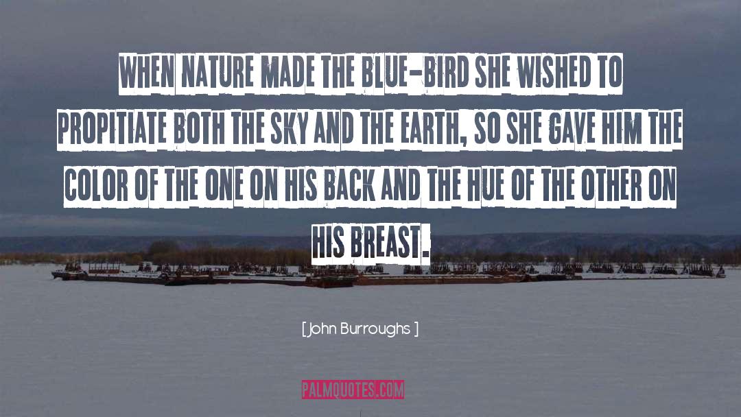 Sky Blue quotes by John Burroughs