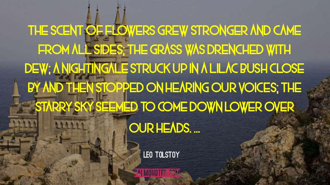 Sky Blush quotes by Leo Tolstoy