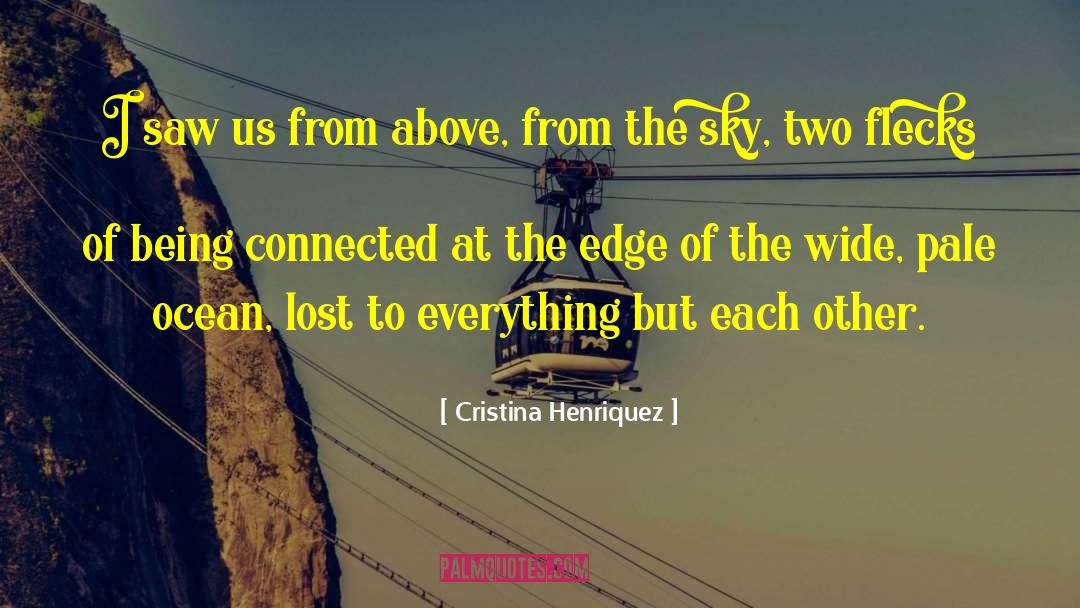 Sky Descriptive quotes by Cristina Henriquez