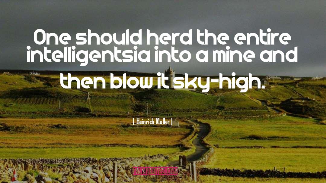 Sky High quotes by Heinrich Muller