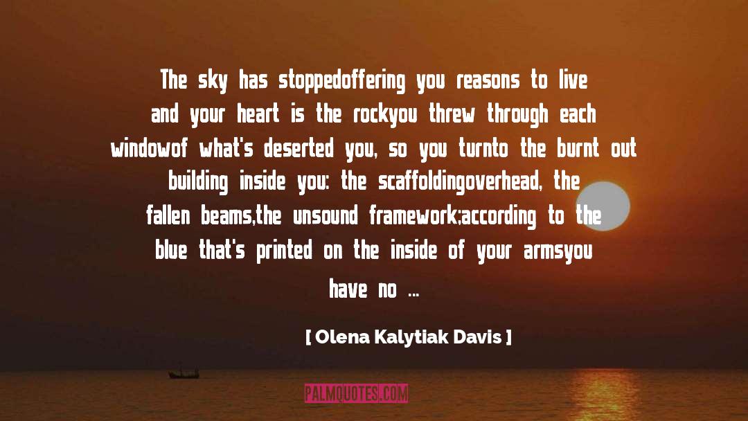 Sky Holder quotes by Olena Kalytiak Davis