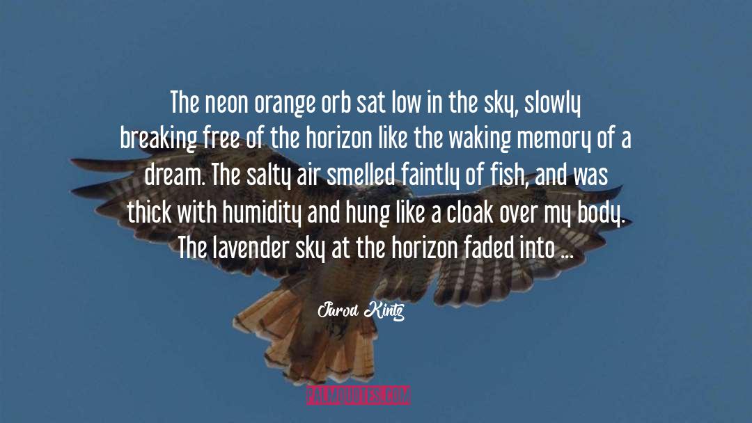 Sky Holder quotes by Jarod Kintz