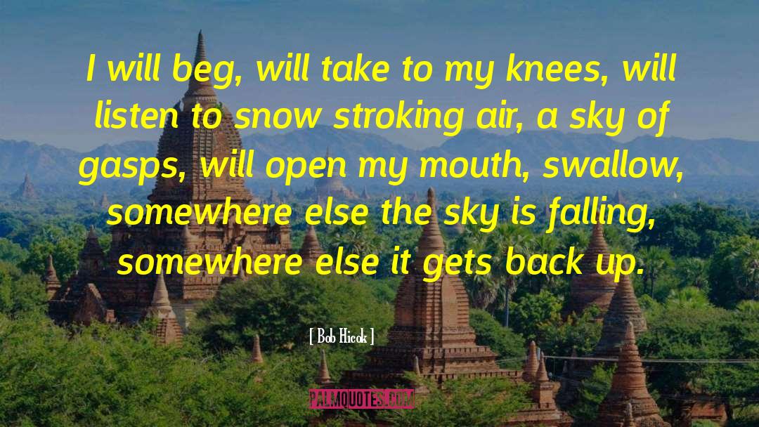 Sky Is Falling Kit Pearson quotes by Bob Hicok