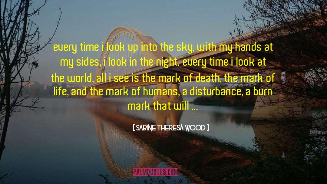 Sky Is The Limit quotes by Sabine Theresa Wood