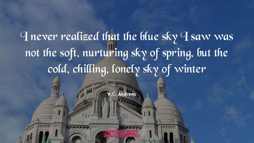 Sky Tumblr quotes by V.C. Andrews