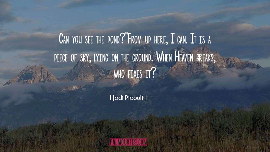 Sky Vert quotes by Jodi Picoult