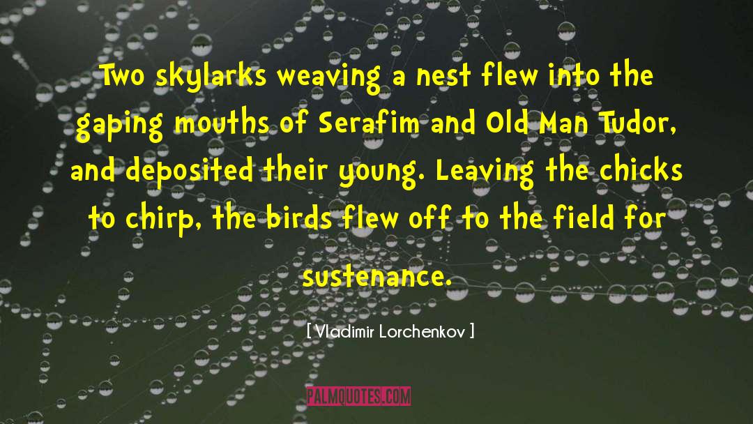 Skylarks quotes by Vladimir Lorchenkov