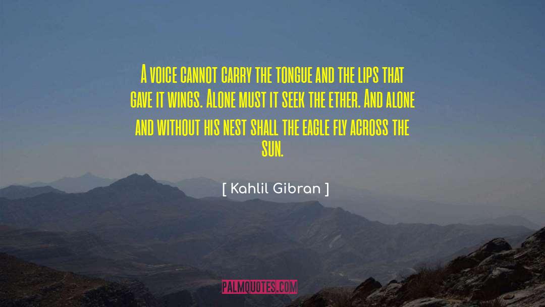 Skynner Fly quotes by Kahlil Gibran