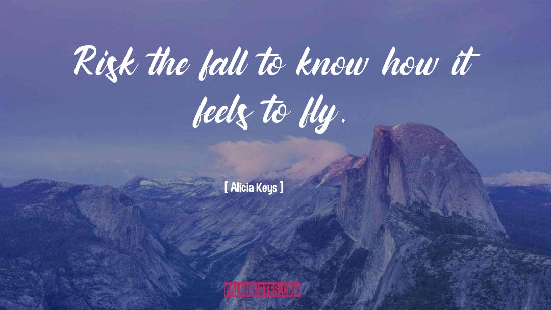 Skynner Fly quotes by Alicia Keys
