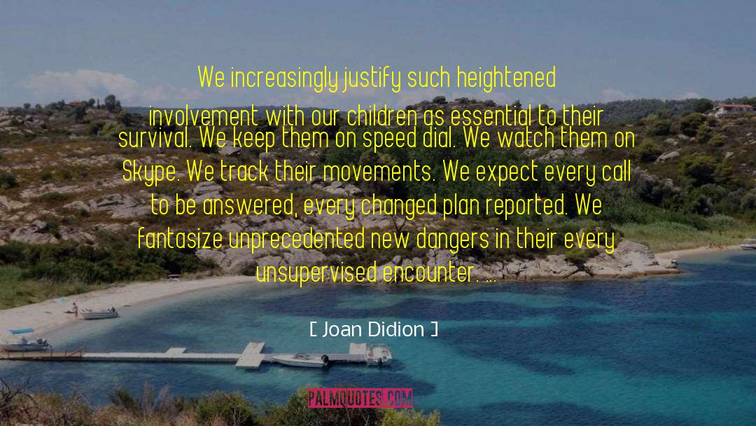 Skype quotes by Joan Didion