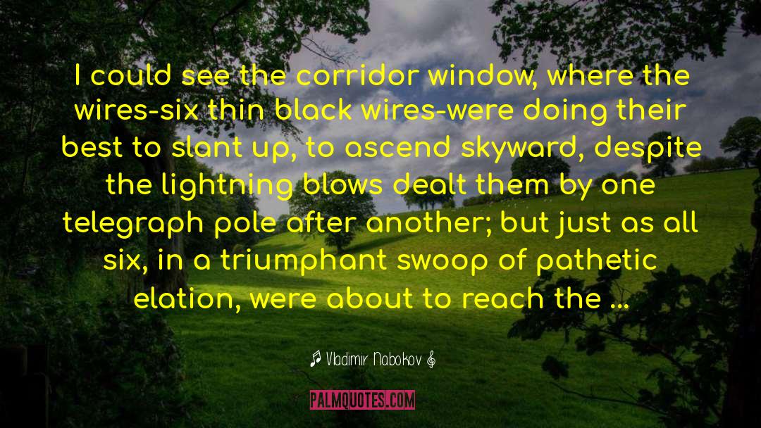 Skyward quotes by Vladimir Nabokov