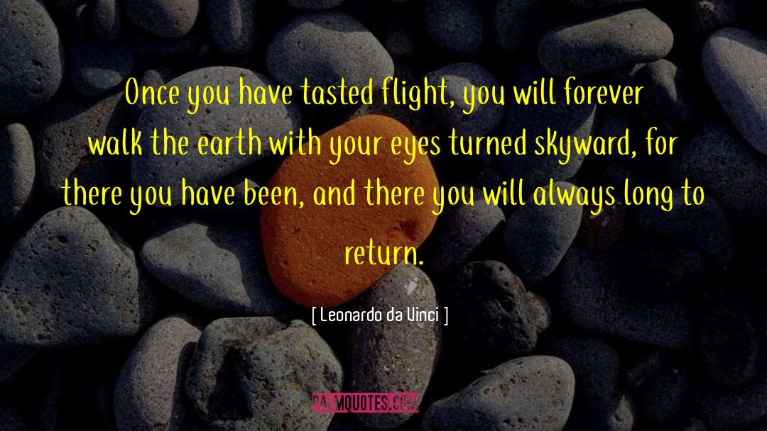 Skyward quotes by Leonardo Da Vinci